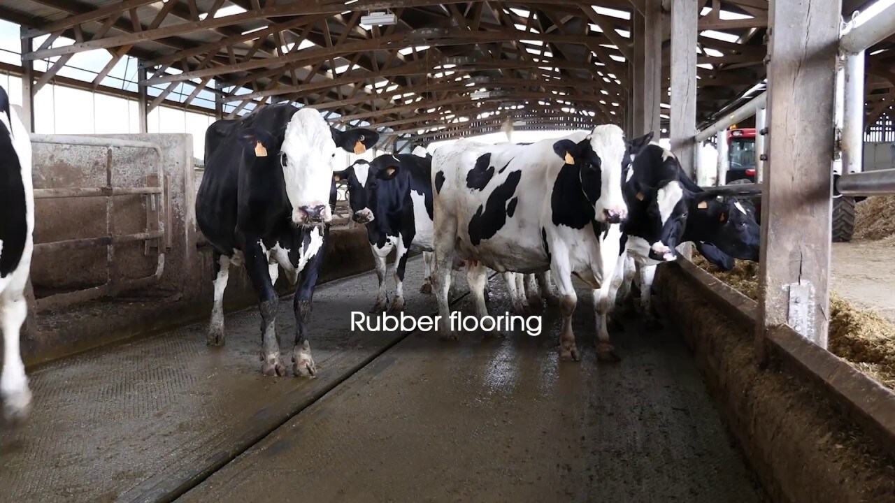 Delta_Rubber_Flooring
