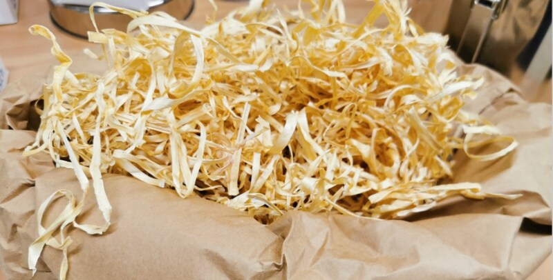 Spargelfasern_IfBB
